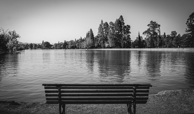 Blanco y negro -1 Mediano