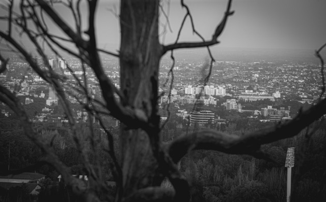 Blanco y negro -10 Mediano