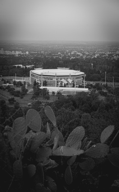 Blanco y negro -11 Mediano