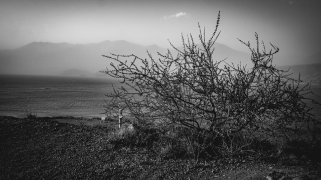 Blanco y negro -14 Mediano