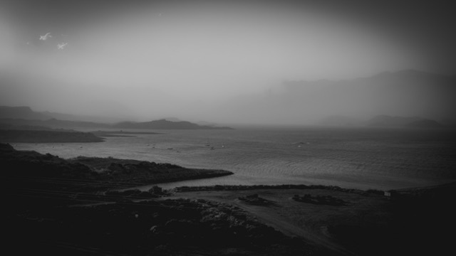 Blanco y negro -16 Mediano