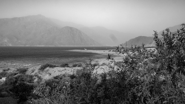 Blanco y negro -18 Mediano