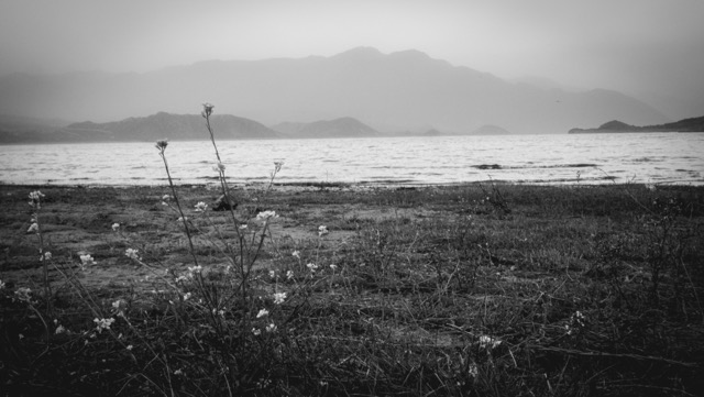 Blanco y negro -20 Mediano