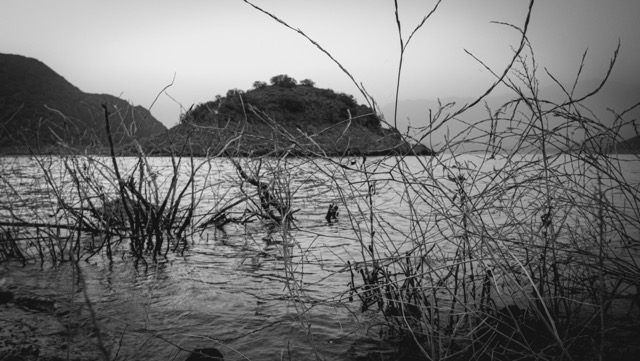 Blanco y negro -22 Mediano