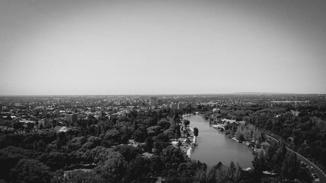 Blanco y negro -24 Mediano