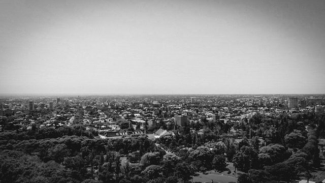 Blanco y negro -25 Mediano