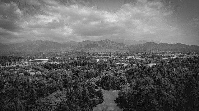 Blanco y negro -26 Mediano