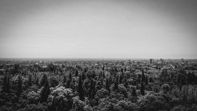 Blanco y negro -27 Mediano