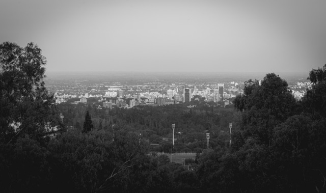 Blanco y negro -6 Mediano