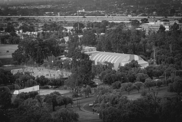 Blanco y negro -9 Mediano